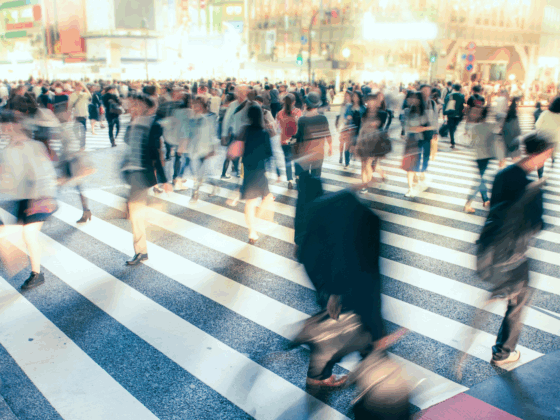 Frozen Assets and Designation Risk: What Every Private Client Must Know - Linkilaw